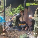 Liberan a familiar de la Prefecta del Guayas que fue secuestrado
