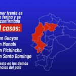Ecuador registra 4 casos de fiebre amarilla en Morona Santiago y Zamora Chinchipe