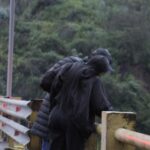 Coordinación nacional de Pachakutik niega acuerdo con el gobierno