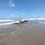 Detienen a dos guías penitenciarios presuntamente vinculados con narcotráfico