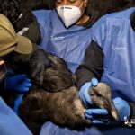 Erik Prince regresa a Ecuador