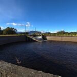 Ecuador pierde hasta USD 500 millones por paralización petrolera