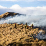 Exportadores acompañarán a Noboa en su visita oficial a Japón