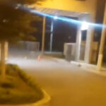 Gobierno asegura que economía registra crecimiento