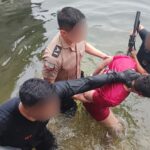 Brasil busca reanudar importación de camarón ecuatoriano