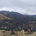 Renuncia candidata de la terna de la Asamblea al Consejo de la Judicatura