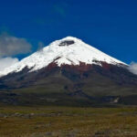 Inicia la veda del cangrejo: prohíben su captura, comercialización y consumo