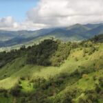 Esto se conoce sobre la masacre en Crucita, Portoviejo