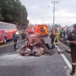 Noboa y Milei acuerdan cooperación bilateral en seguridad, comercio e inversiones