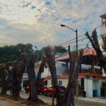 Vicepresidenta de Guatemala visitará Ecuador