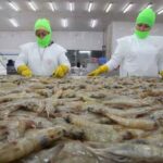 Ley de Solidaridad: primera audiencia en la Corte Constitucional