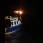 Frustran envío de cocaína camuflada en frutos secos hacia EE. UU