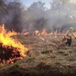 Enemigos del pueblo | Opinión