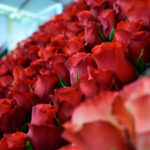 Empresas de Ecuador y Argentina fortalecen lazos en encuentro tecnológico