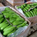 Juez de la Corte Nacional enfrentará proceso disciplinario por presunto acoso sexual