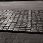 Consulta popular sería el 30 de noviembre