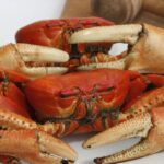 CNE mantendrá prohibición de uso de celulares durante Referéndum y Consulta Popular