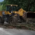 Referéndum 2025: CNE niega calificación de Revolución Ciudadana para campaña electoral