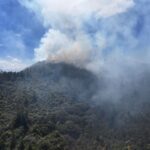 Noboa firma decreto que baja IVA para feriado