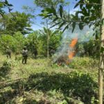 Embarazo adolescente se reduce a la mitad en planteles municipales de Quito