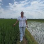 Gobierno afirma que protestas se concentran en Imbabura