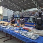 El partido de Javier Milei gana las elecciones legislativas en Argentina