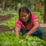 Autoridades de Imbabura hacen un llamado urgente al diálogo