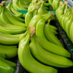 Nuevo ataque armado en Machala: hombre es asesinado frente al Hospital Teófilo Dávila