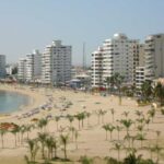 Noboa asistirá a la investidura presidencial de Rodrigo Paz en Bolivia