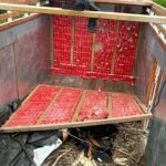 Flamengo, de Gonzalo Plata, es el nuevo campeón de la Copa Libertadores de América