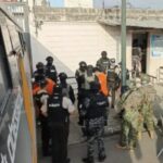 900 perros quedan sin resguardo tras colapso de un refugio por granizada en Quito