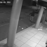 Más de 800 observadores están acreditados para la consulta popular y el referéndum