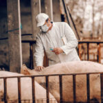 Fallas en Airbus A320 obliga a suspender vuelos en todo el mundo