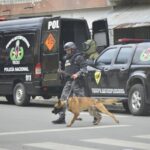 Refuerzan vigilancia epidemiológica de Influenza A (H3N2)