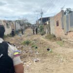 Ekopark operará con energía eléctrica autónoma del 12 al 16 de enero