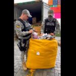 WhatsApp integra nuevos stickers y mensajes temporales de 60 minutos