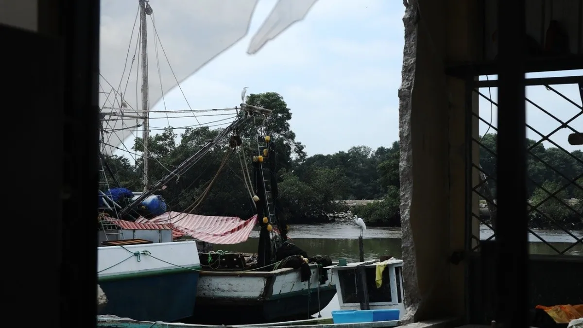 Hallan otros dos cadáveres decapitados en El Oro