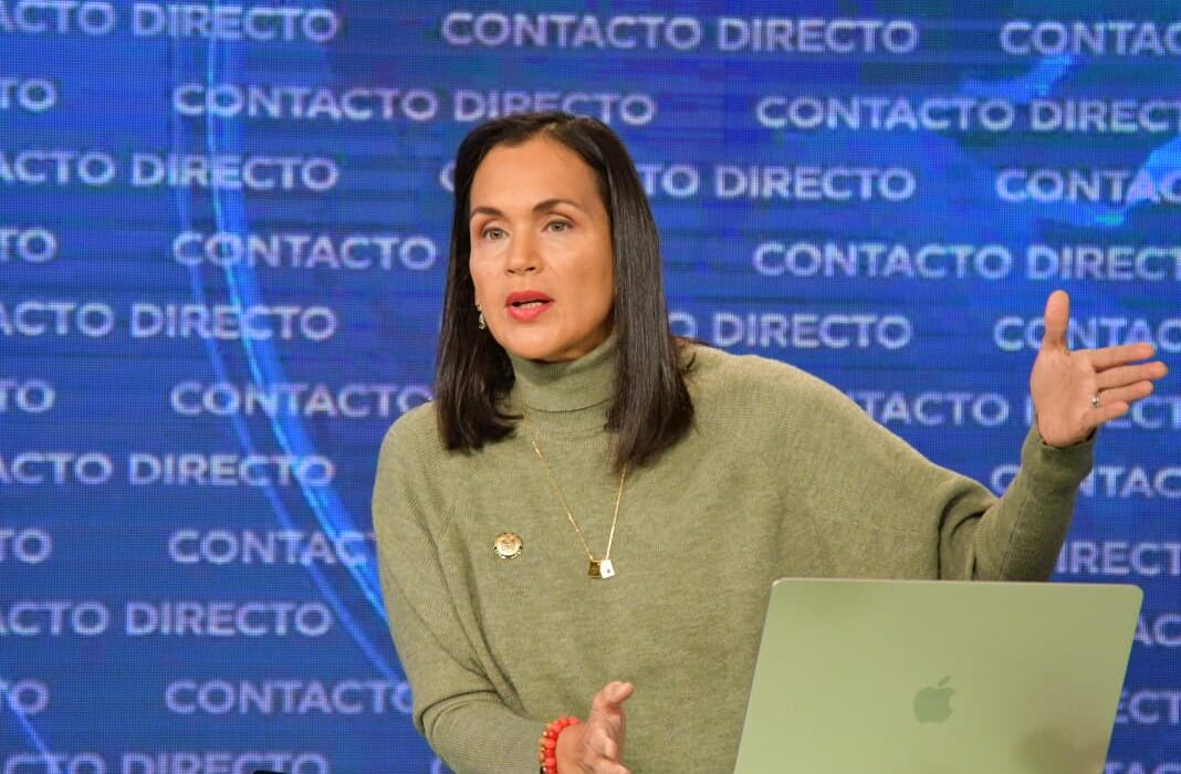 Manzano descarta apagones: asegura que infraestructura nacional cubre picos de consumo