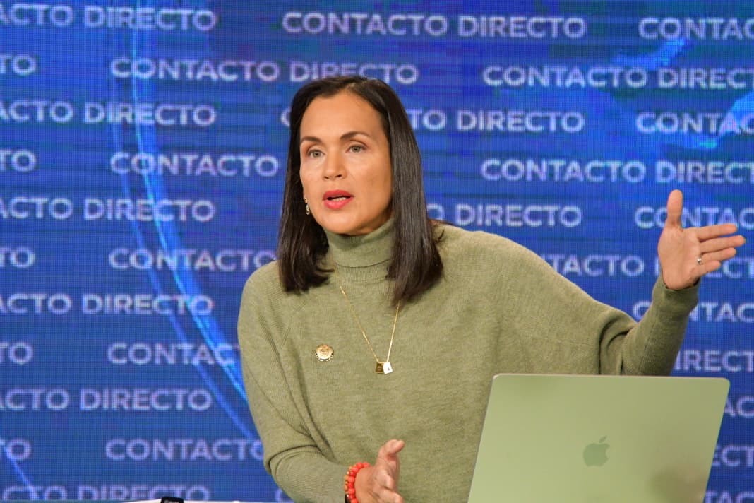 Manzano descarta apagones: asegura que infraestructura nacional cubre picos de consumo