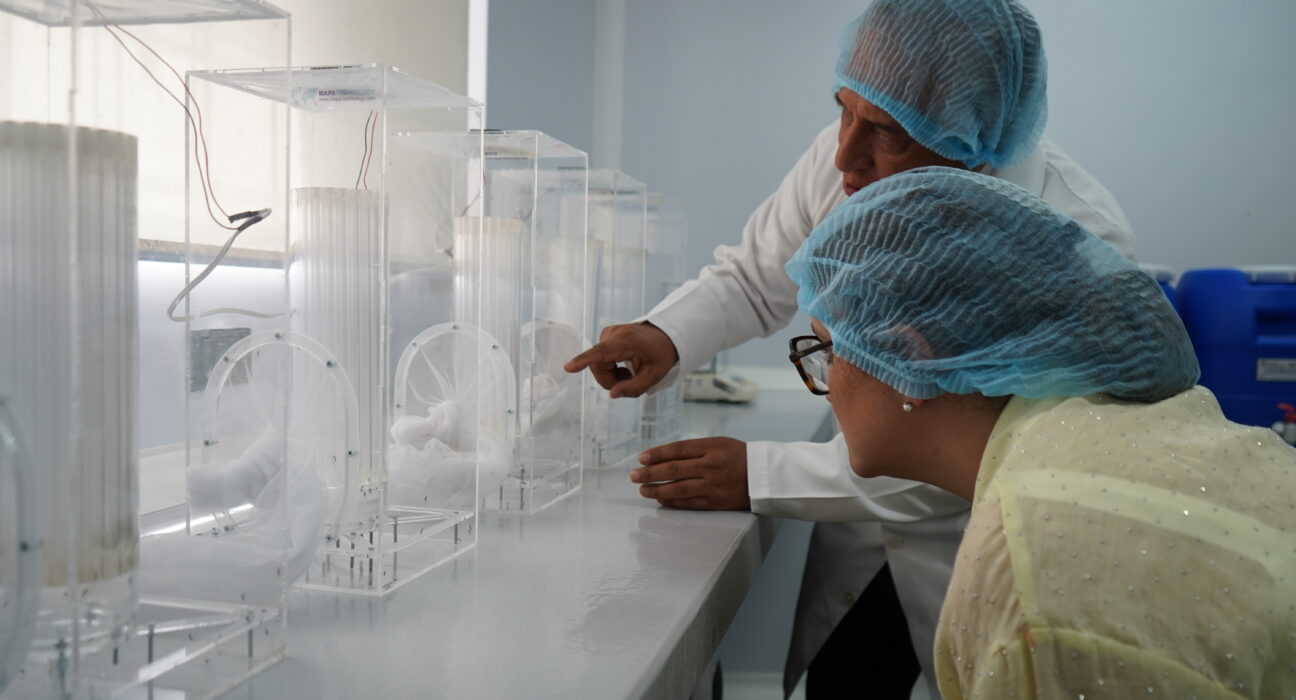 Gobierno inaugura una biofábrica de mosquitos estériles para fortalecer lucha contra el dengue