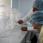 Hospitales del IESS incorporan tecnología laparoscópica 4K para cirugías mínimamente invasivas