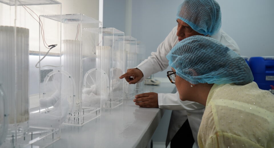 Gobierno inaugura una biofábrica de mosquitos estériles para fortalecer lucha contra el dengue