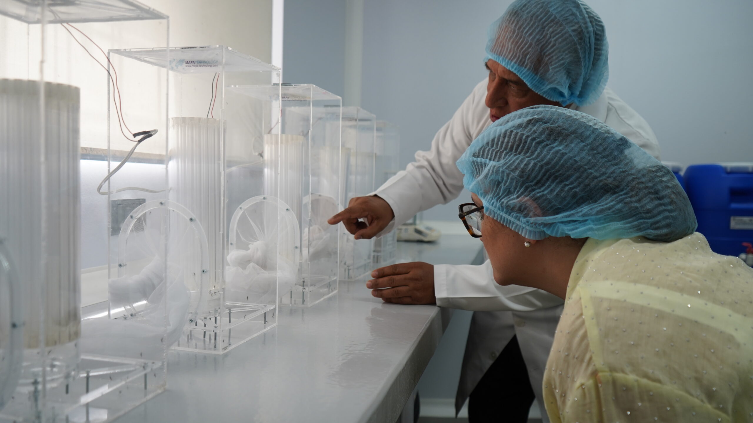 Gobierno inaugura una biofábrica de mosquitos estériles para fortalecer lucha contra el dengue