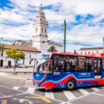 Descubren tres nuevas especies de ranas asociadas a bosques de bambú andino