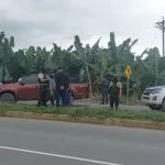 Descubren dos nuevas especies de escarabajos en la Amazonía y los bosques nublados andinos