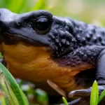 Asesinan a cuatro pescadores durante reunión familiar en Durán