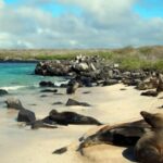 ¿Estamos entendiendo realmente a la Generación Z? | Opinión