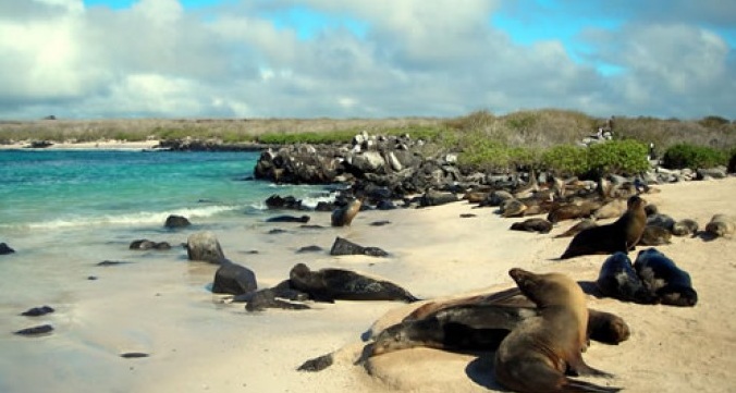 Gobierno aclara que nueva ley no permite minería en el Parque Nacional Galápagos