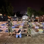 Descubren dos nuevas especies de escarabajos en la Amazonía y los bosques nublados andinos