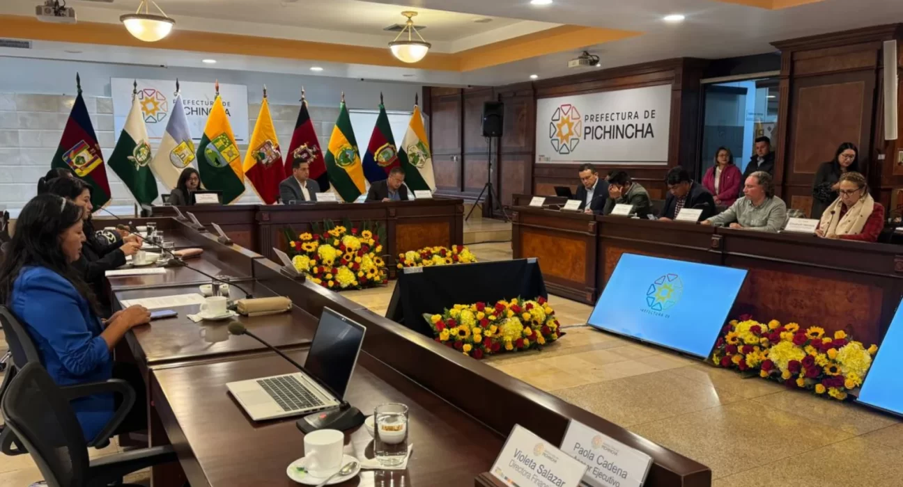 Consejo Provincial de Pichincha respalda acción de inconstitucionalidad contra reforma al COOTAD